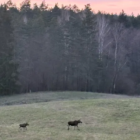 Фермерский дом Zolta Ostoja