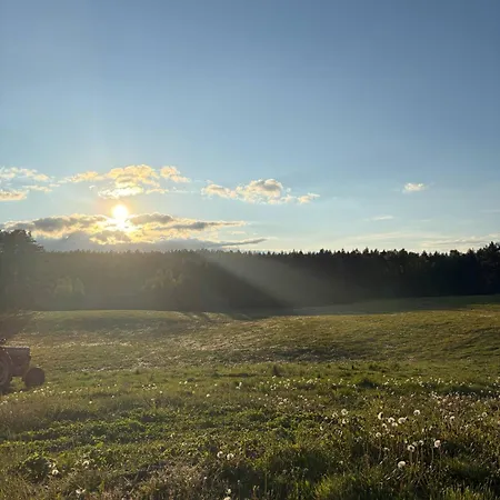 Zolta Ostoja * Lipowo (Mragowo)