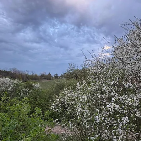 Farm stay Zolta Ostoja *