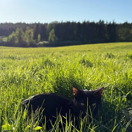 Zolta Ostoja Farm stay Lipowo (Mragowo)