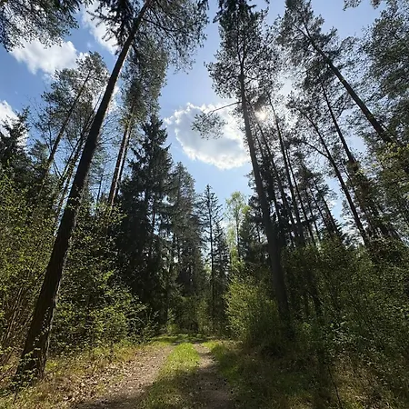 Zolta Ostoja Lipowo (Mragowo)