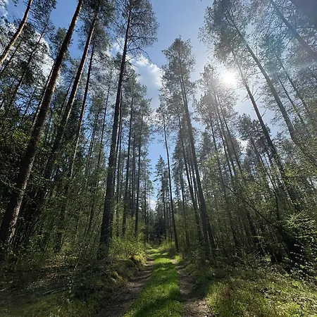 Zolta Ostoja Фермерский дом Lipowo (Mragowo)